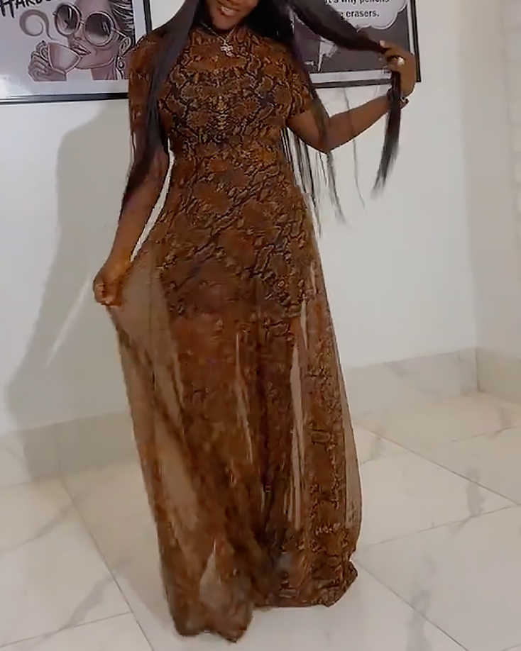 Timeless Sheer Chiffon Elegance Dress