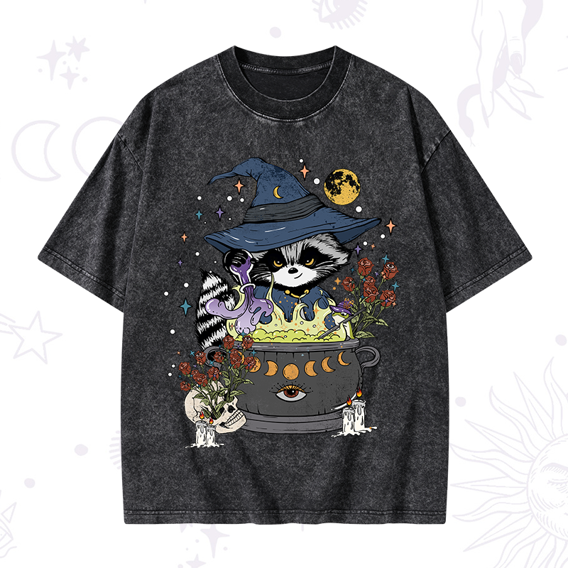 Alchemy Journey of the Raccoon Washed T-Shirt