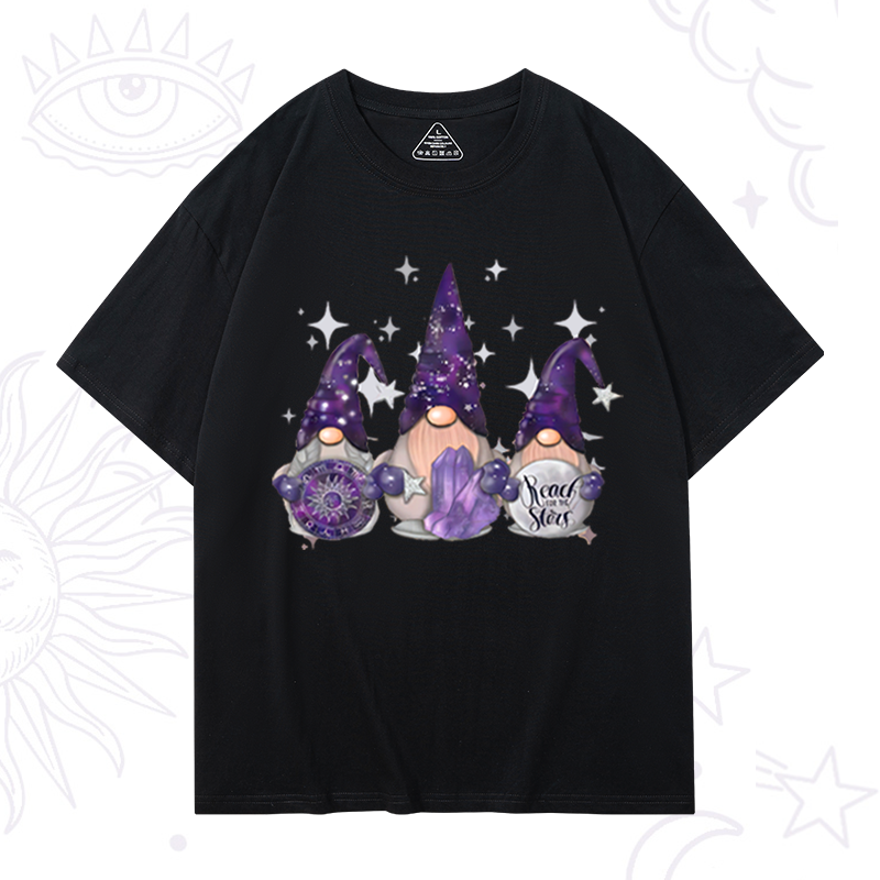 Christmas Cute Gnome T-Shirt