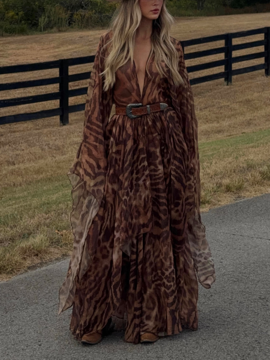 Brown Leopard Print Sheer Maxi Dress