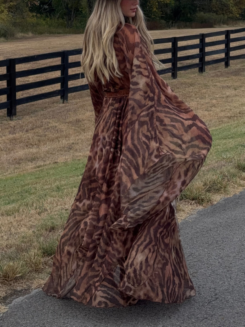 Brown Leopard Print Sheer Maxi Dress