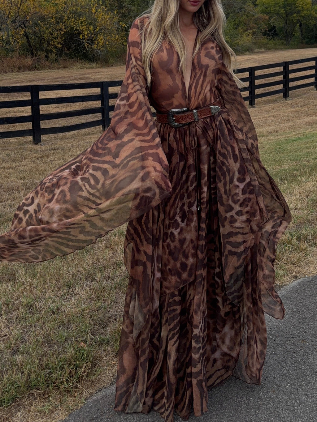 Brown Leopard Print Sheer Maxi Dress