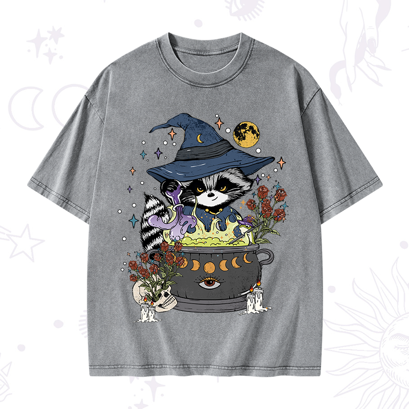 Alchemy Journey of the Raccoon Washed T-Shirt