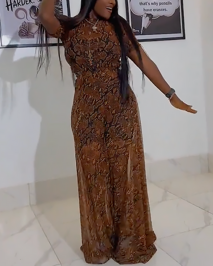 Timeless Sheer Chiffon Elegance Dress