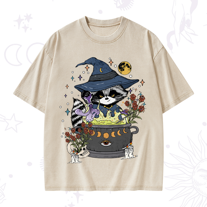 Alchemy Journey of the Raccoon Washed T-Shirt