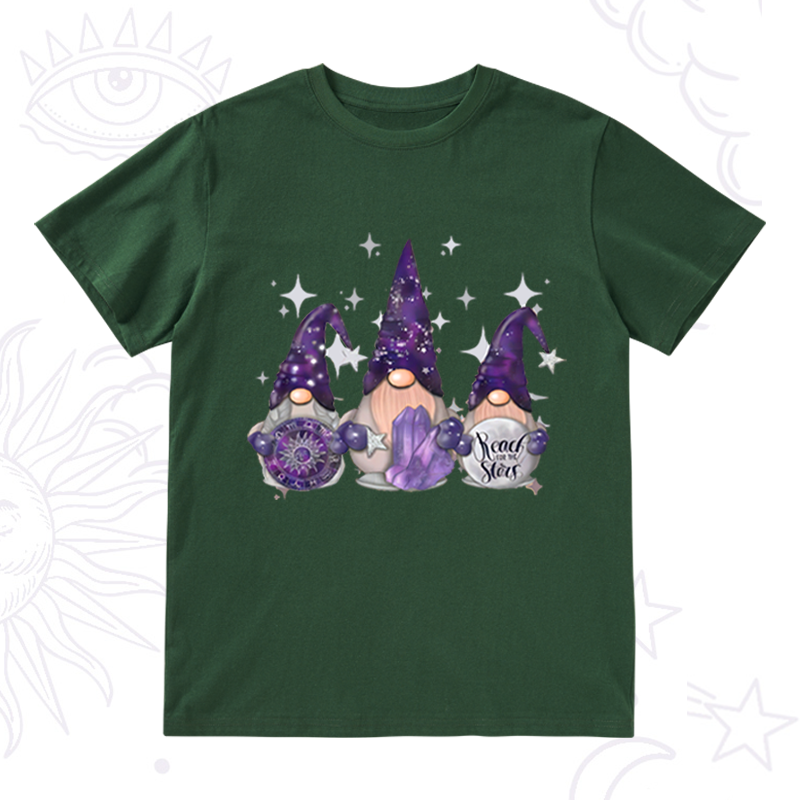 Christmas Cute Gnome T-Shirt