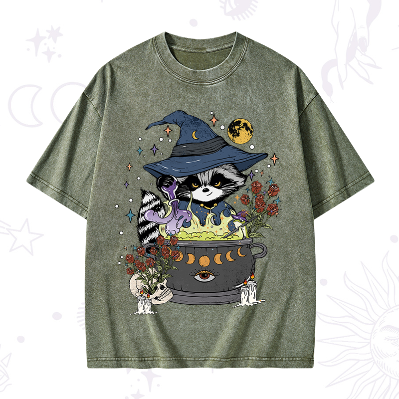 Alchemy Journey of the Raccoon Washed T-Shirt