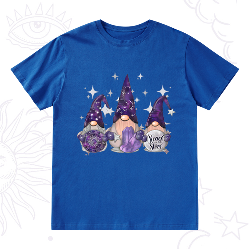 Christmas Cute Gnome T-Shirt