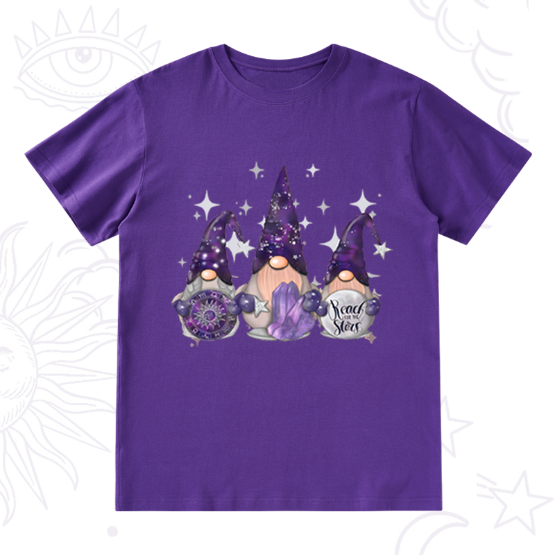 Christmas Cute Gnome T-Shirt