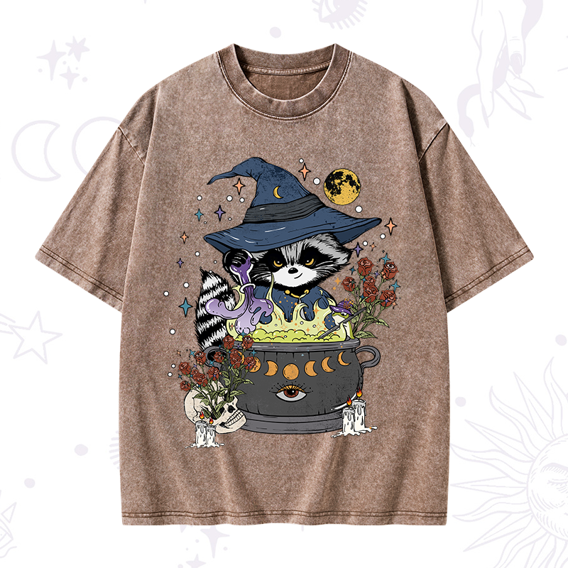 Alchemy Journey of the Raccoon Washed T-Shirt