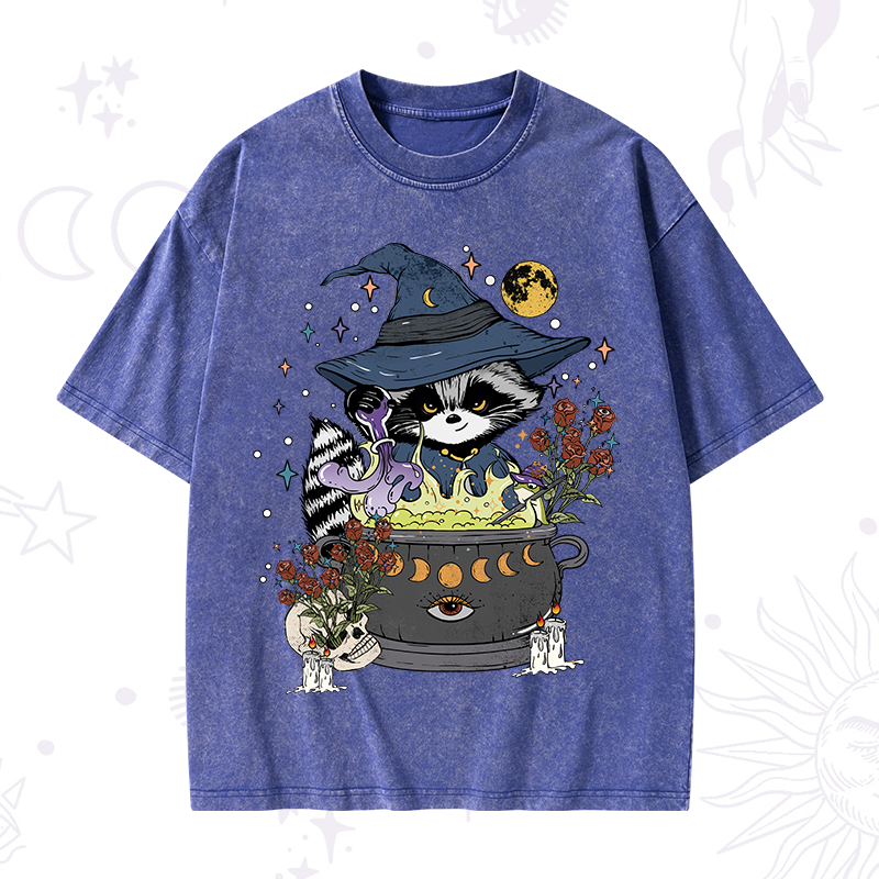 Alchemy Journey of the Raccoon Washed T-Shirt