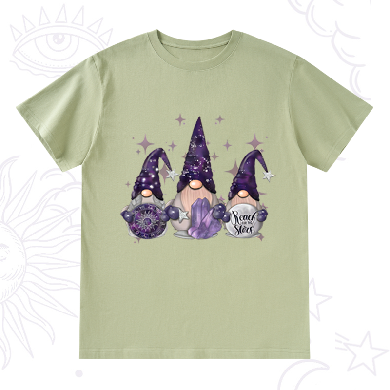 Christmas Cute Gnome T-Shirt