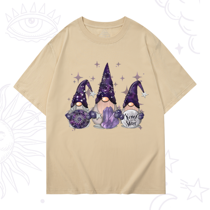 Christmas Cute Gnome T-Shirt